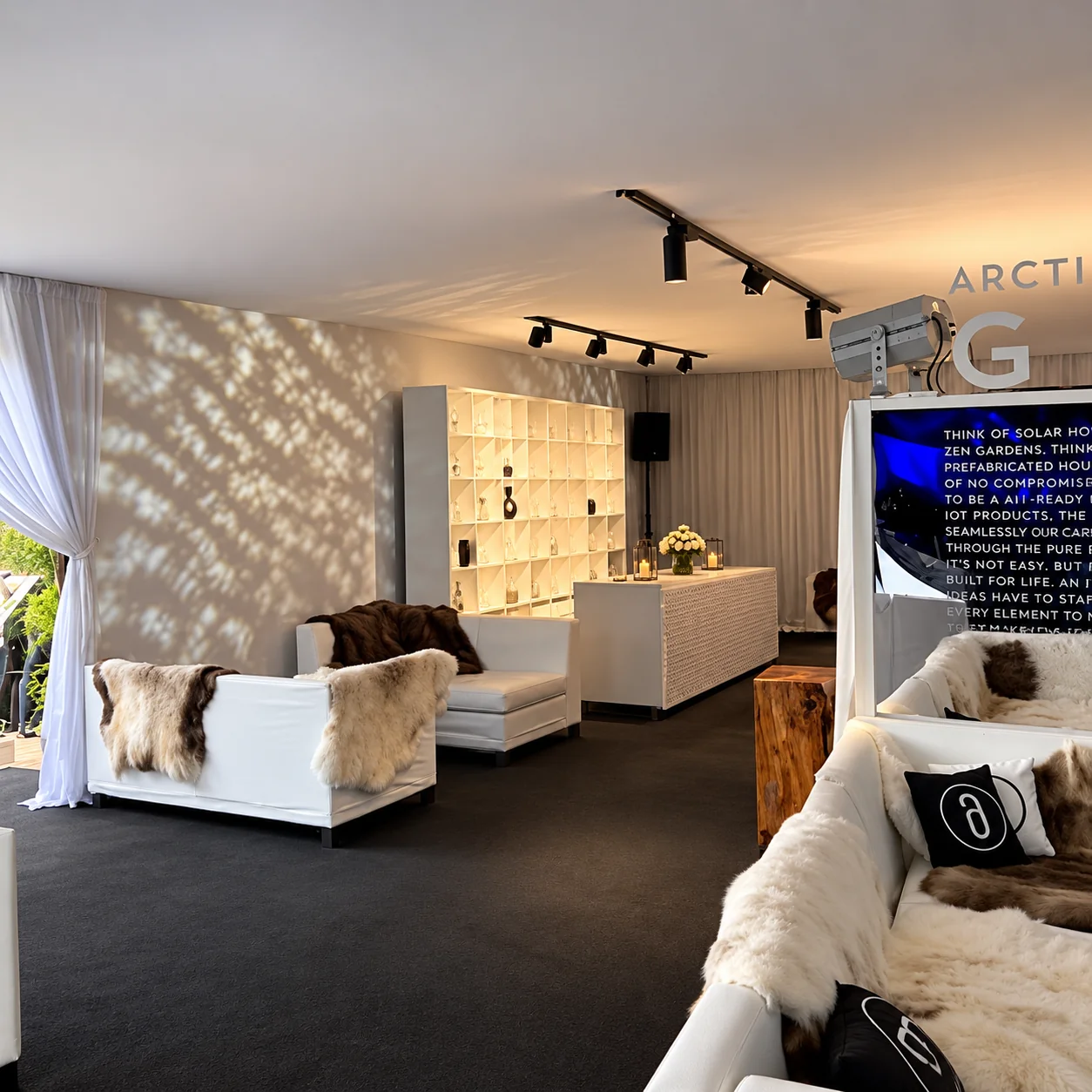 Salon arctique moderne et chaleureux
