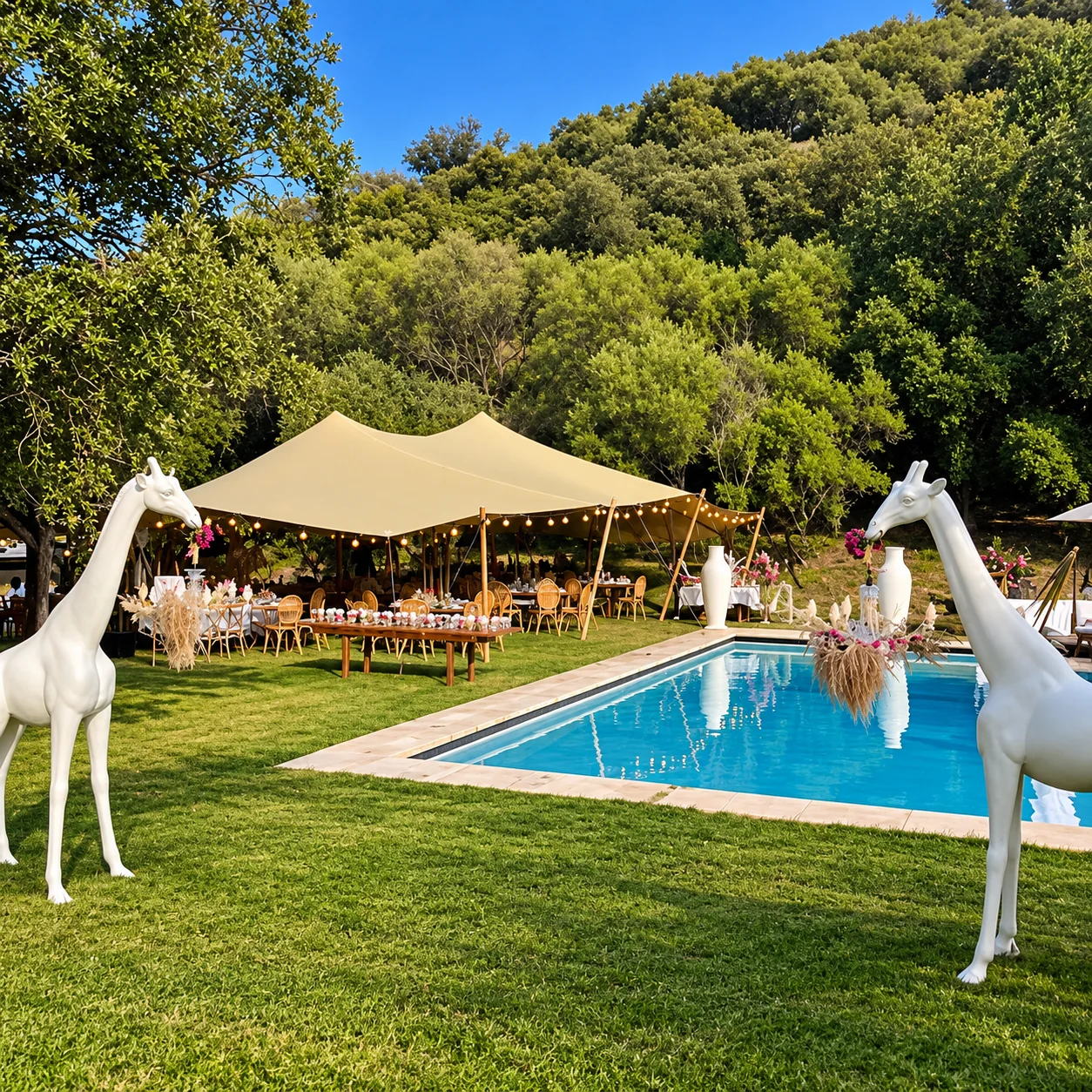 Fête champêtre au bord de la piscine