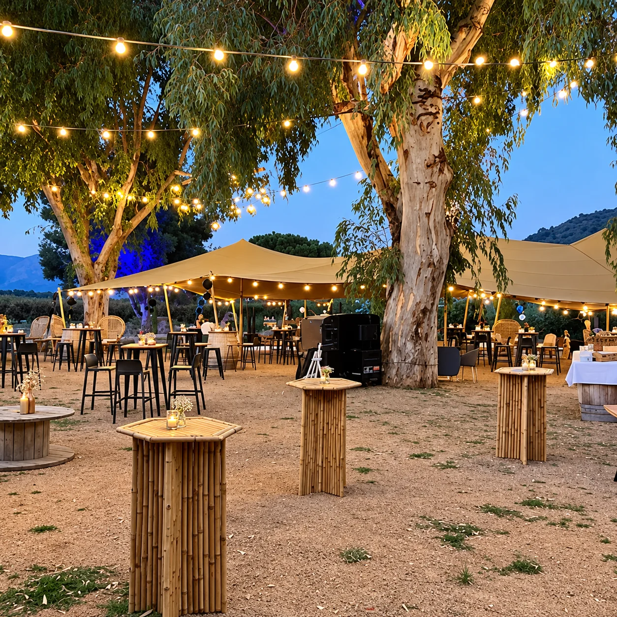 Soirée champêtre sous les eucalyptus
